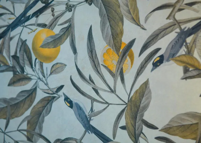 Magnolia 3*